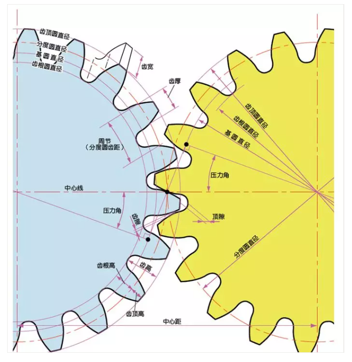 齒輪各部位的名稱